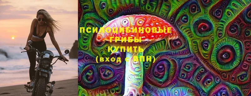 Псилоцибиновые грибы Cubensis  купить   Электросталь 