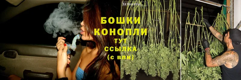 закладки  Электросталь  Каннабис White Widow 